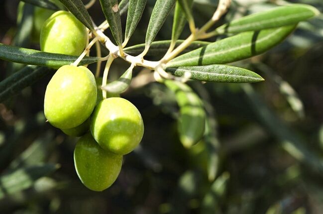 Avantages de manger des olives avec le régime cétogène